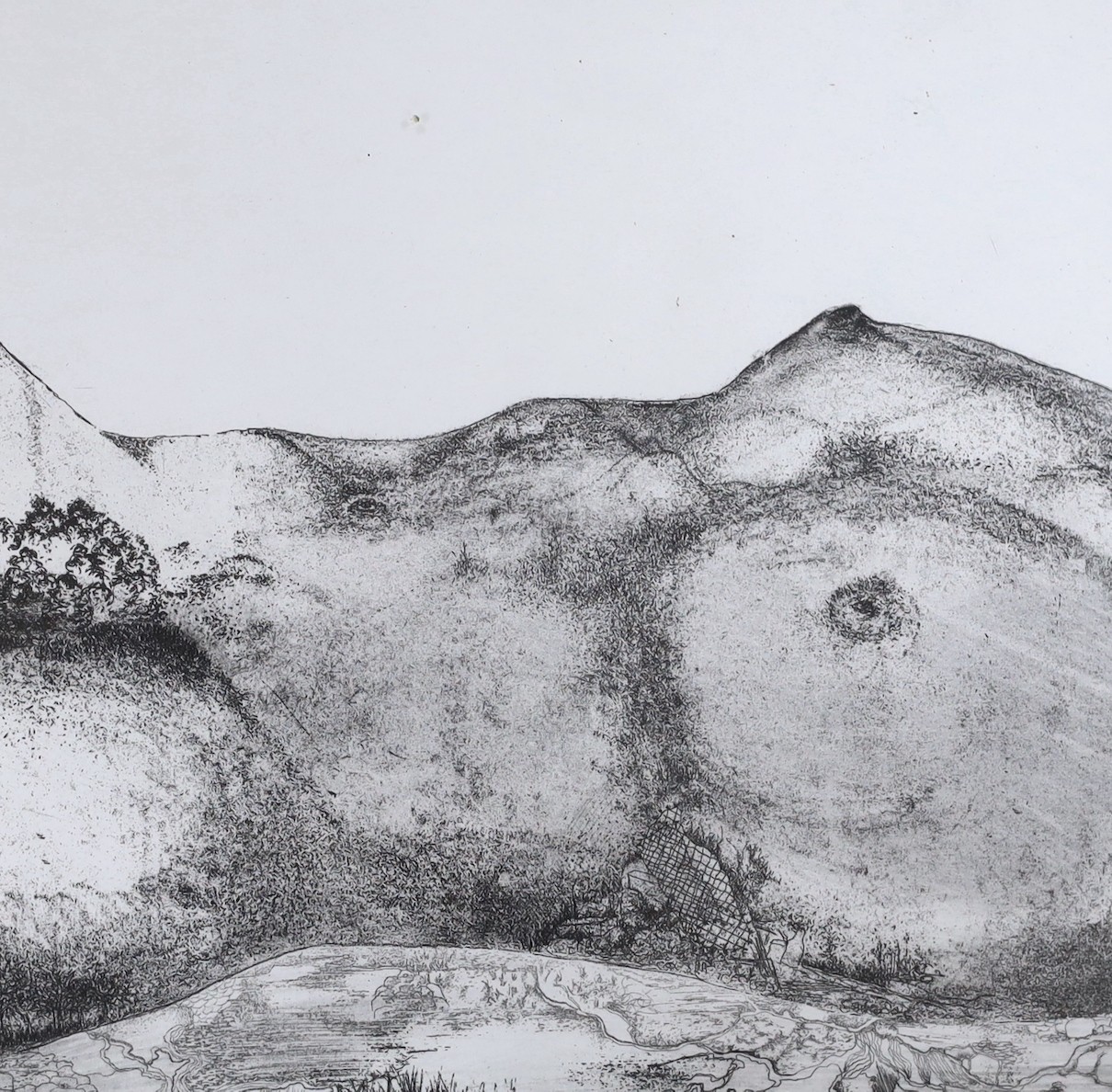 Brenda Jacobs, four etchings with aquatint, 'Bodyscapes', signed and dated '91, 22 x 22cm, framed as one